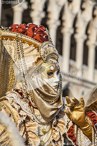 Image of Venetian Disguise