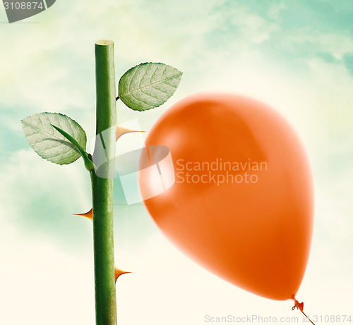 Image of Rose thorn and Red Balloon