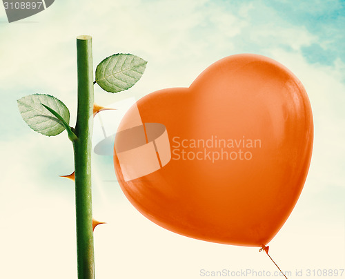 Image of Rose thorn and Red Balloon