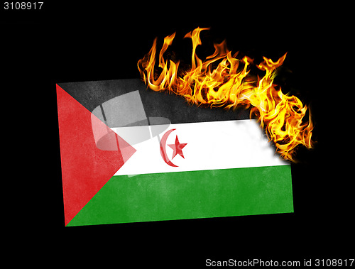 Image of Flag burning - Western Sahara