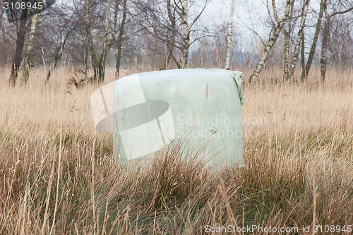 Image of Bales of green crop silage