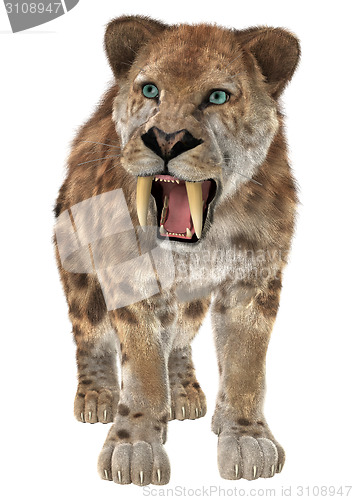 Image of Big Cat Smilodon