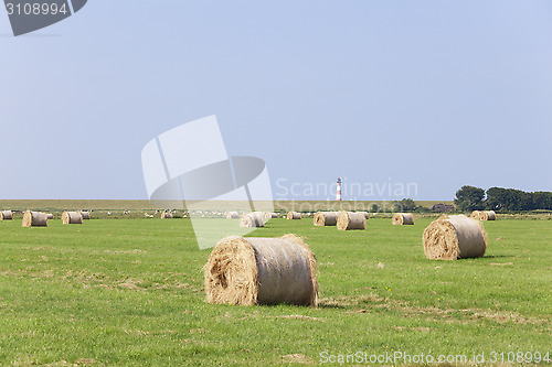 Image of Hay round bales on meadow