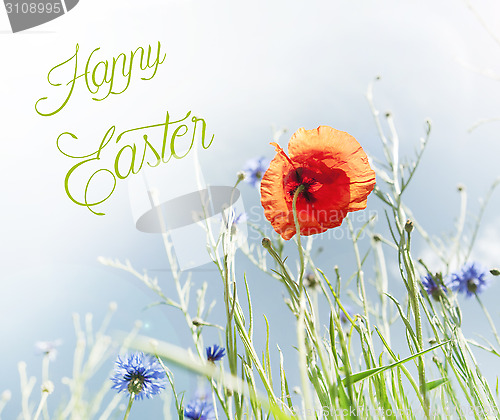 Image of happy easter poppy