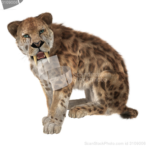 Image of Big Cat Smilodon