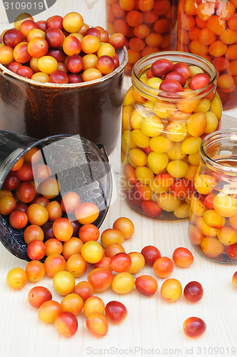 Image of Preserving Mirabelle plums - jars of homemade fruit preserves - Mirabelle prune