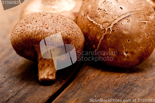 Image of shiitake mushrooms