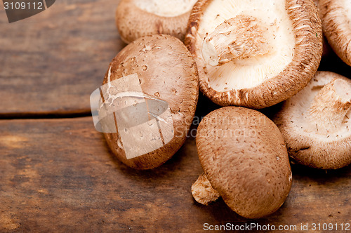 Image of shiitake mushrooms