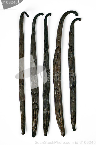 Image of Vanilla pods