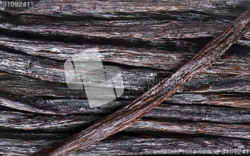 Image of Vanilla pods