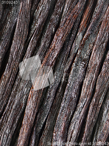 Image of Vanilla pods