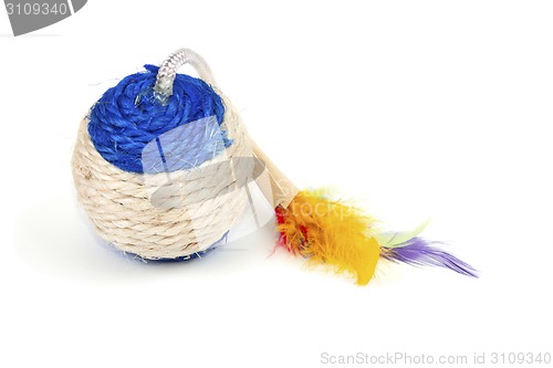 Image of Round  toy for kittens