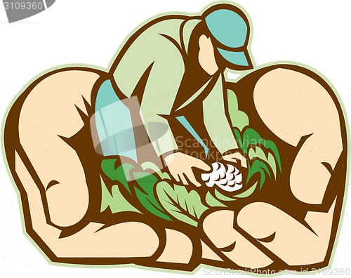 Image of Hands Holding Organic Farmer Produce Retro