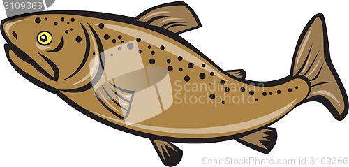 Image of Brown Trout Fish Side Cartoon