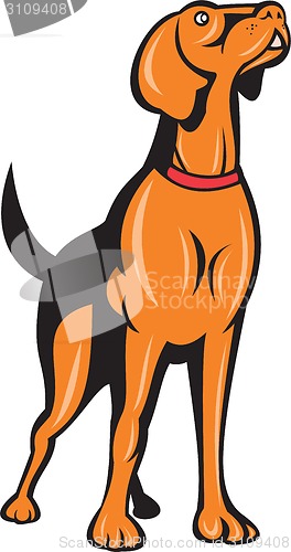 Image of Cocker Spaniel Golden Retriever Dog Cartoon