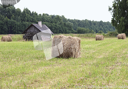 Image of Hay rolls