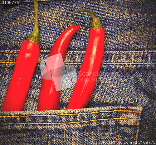 Image of chili peppers in a jeans pocket