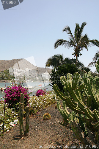 Image of Flower Island, the lovefull paradise