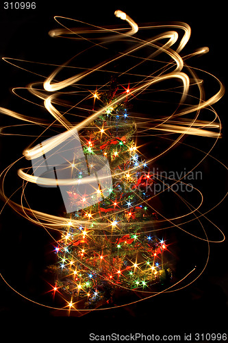 Image of xmas tree