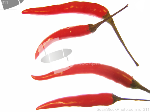 Image of Red chilli