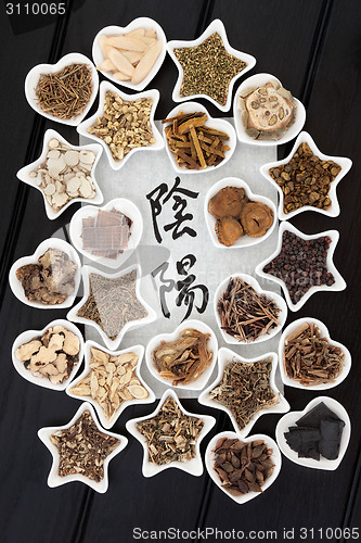 Image of Yin Yang Chinese Herbal Medicine