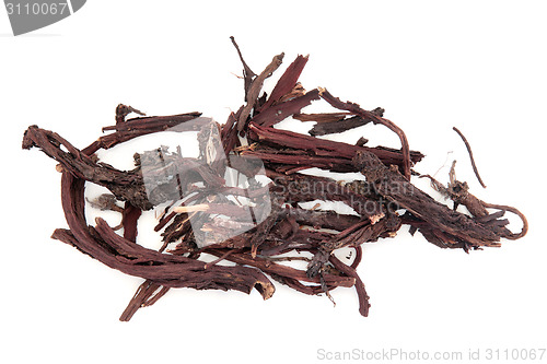 Image of Alkanet Herb Root