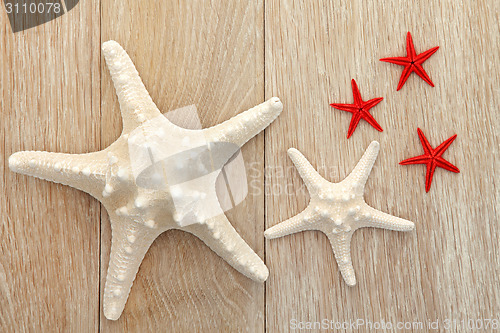 Image of Sea Stars