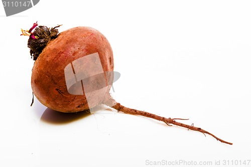 Image of Vegetables on a white background. Beet