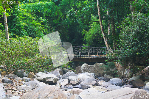 Image of wooden bridge over the stream