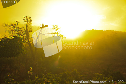 Image of Autumn landscape at misty morning