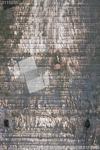 Image of close up Old wood texture