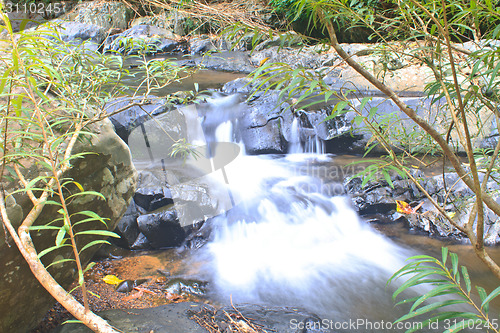 Image of Nature waterfall in deep forest