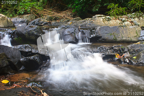 Image of Nature waterfall in deep forest