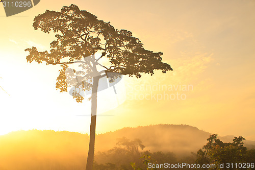 Image of Autumn landscape at misty morning