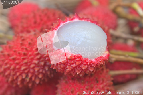 Image of wild fruit from forest, wild lychee
