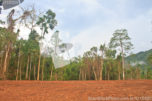 Image of field for Agriculture in countryside 