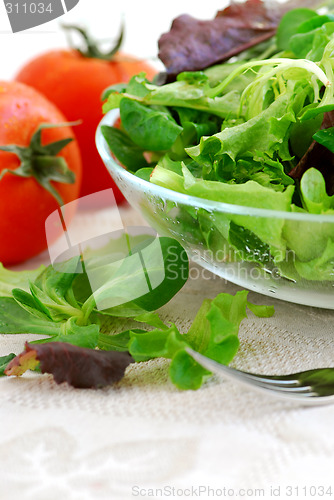 Image of Baby greens and tomatoes