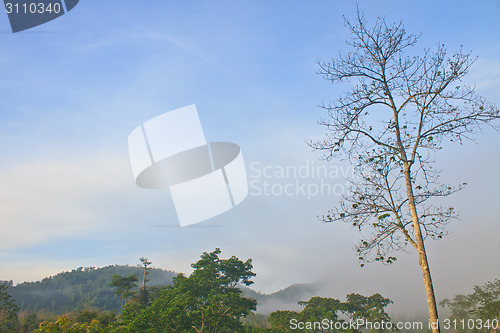 Image of Autumn landscape at misty morning