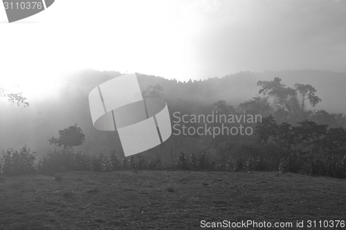 Image of Autumn landscape at misty morning