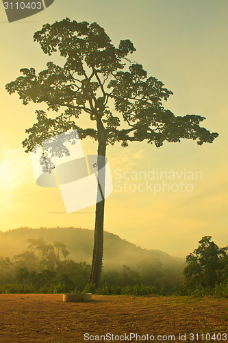 Image of Autumn landscape at misty morning