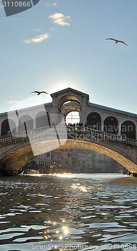 Image of Rialto bridge in Venice 
