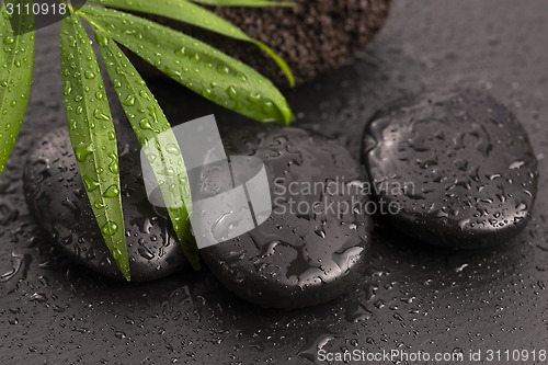 Image of Green leaf on spa stone on wet black surface