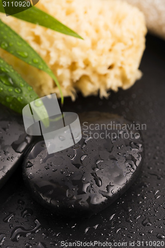 Image of Green leaf on spa stone on wet black surface