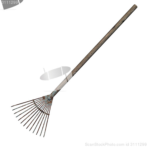 Image of Grass Rake