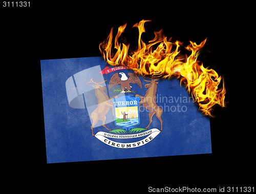 Image of Flag burning - Michigan