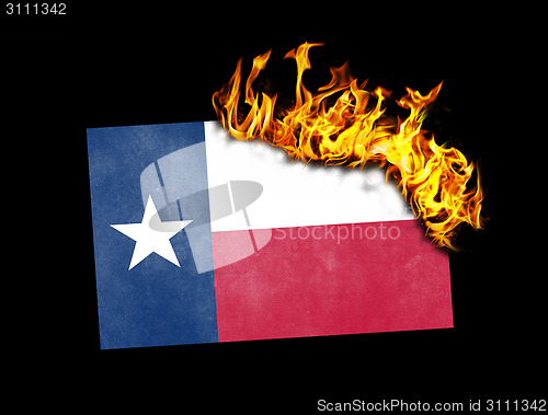 Image of Flag burning - Texas