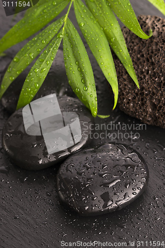 Image of Green leaf on spa stone on wet black surface