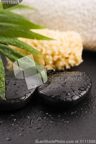 Image of Green leaf on spa stone on wet black surface