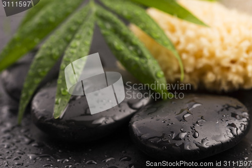 Image of Green leaf on spa stone on wet black surface