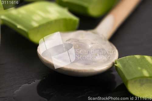 Image of aloe vera juice with fresh leaves 